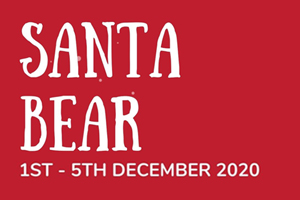 [PROMO] Santa Bear